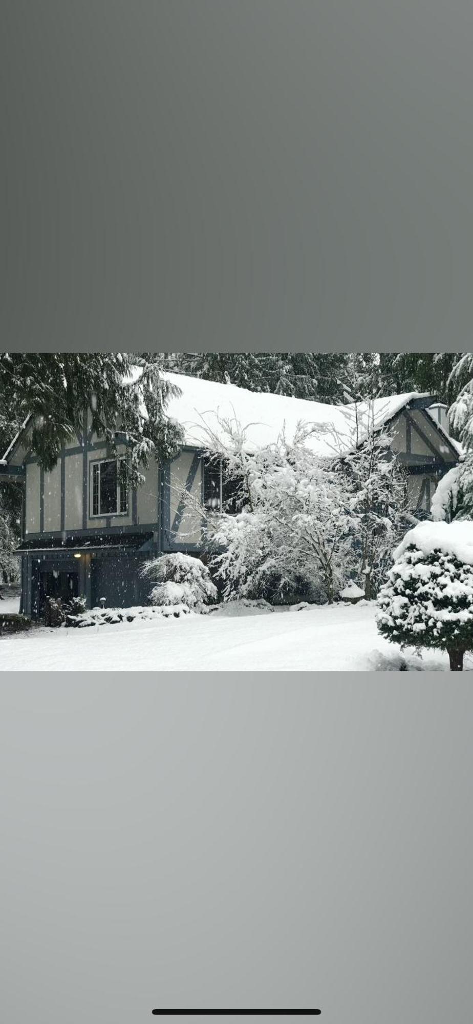 Cozy Bird House W Big Screen! Mount Hood Village Bagian luar foto